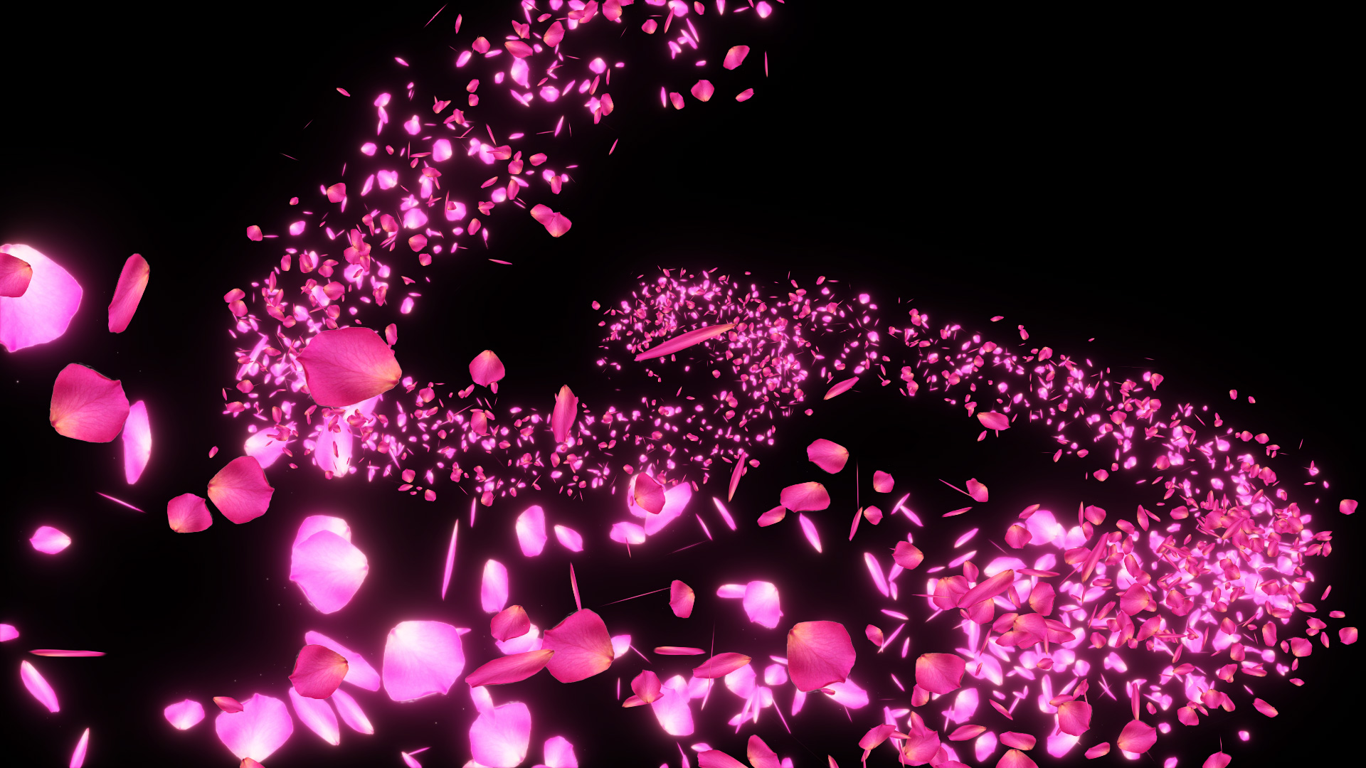 千本樱樱花飞舞视频带通道视频的预览图