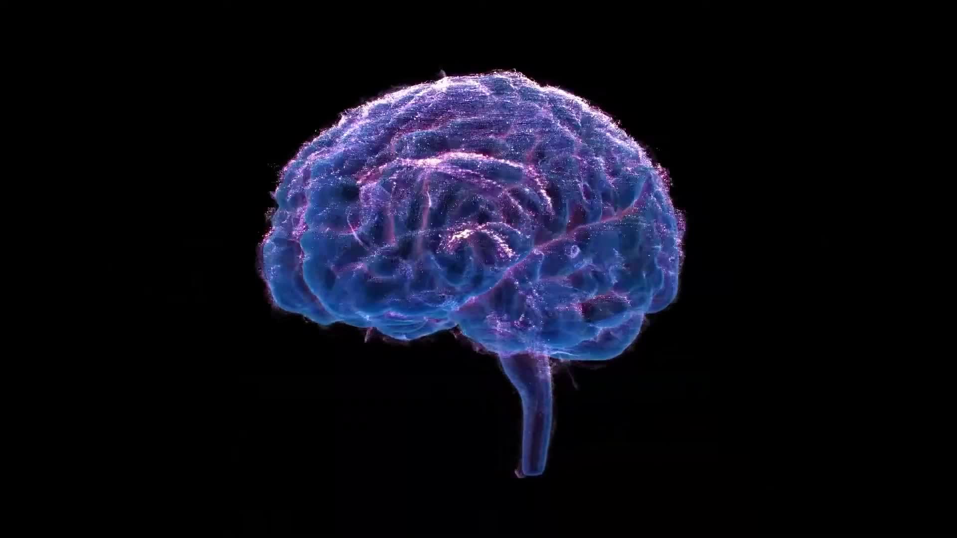 科技大脑粒子大脑视频的预览图