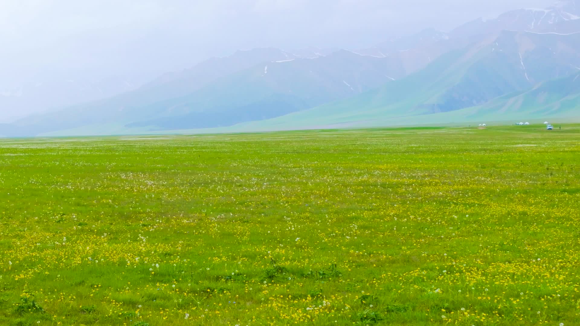 4K航拍新疆赛里木湖大草原自然美景视频的预览图