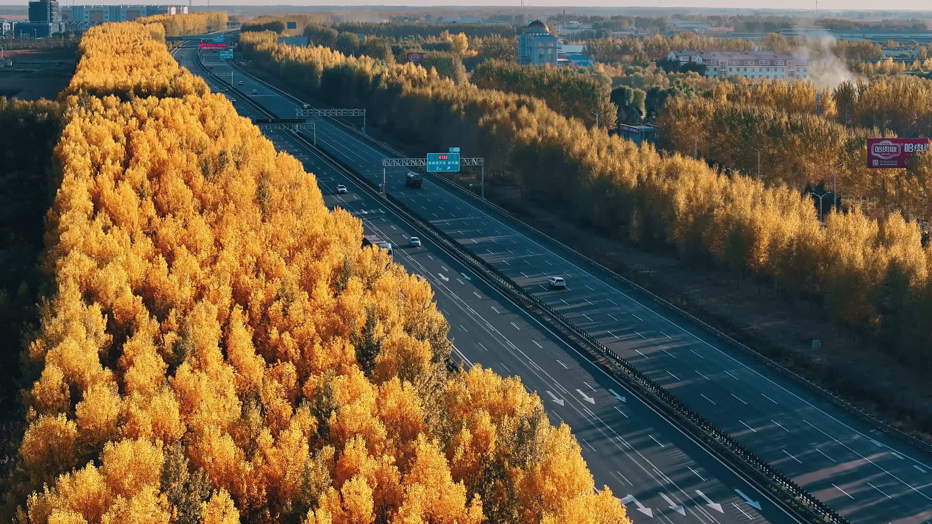 京哈高速秋天高速公路视频的预览图