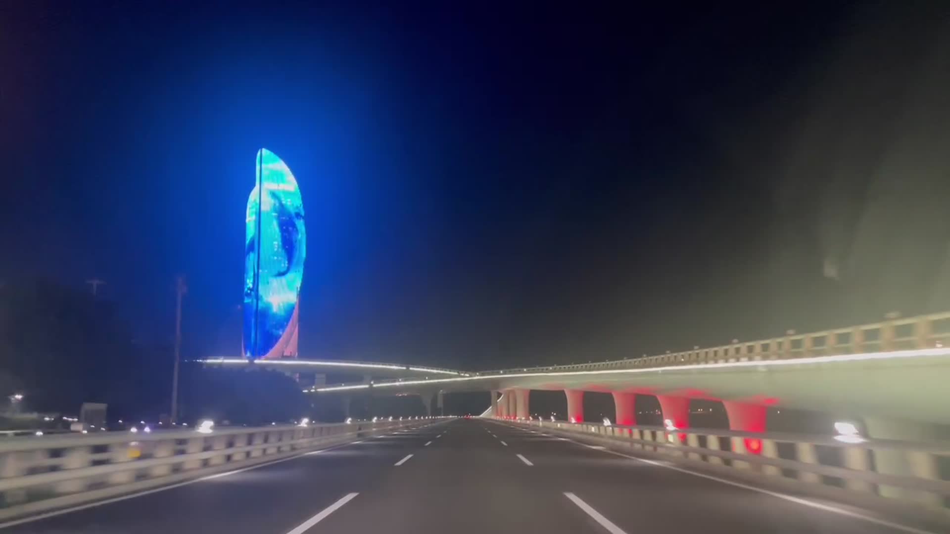 厦门双子塔视频的预览图
