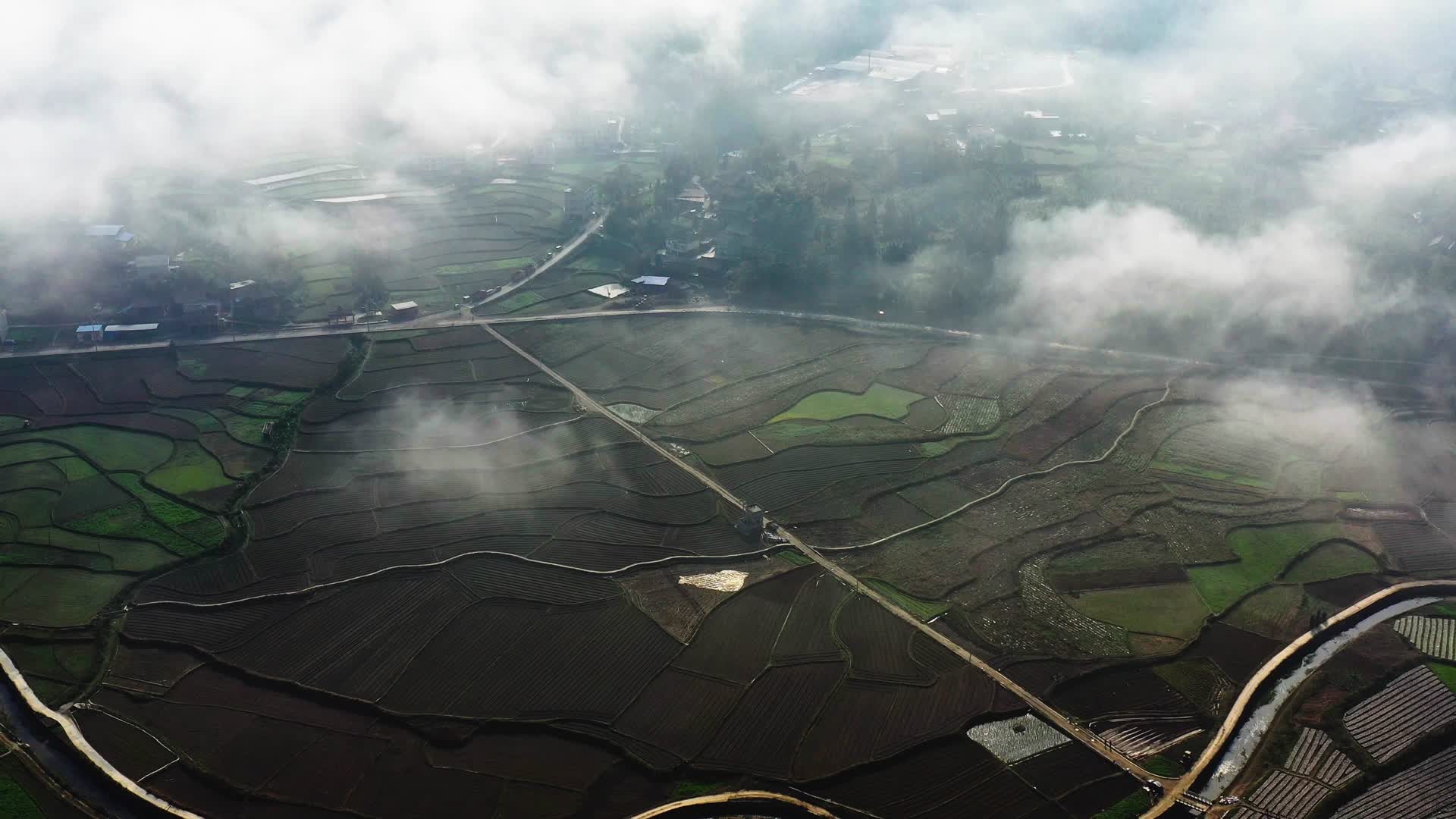 农业航拍美丽乡村木耳田视频的预览图