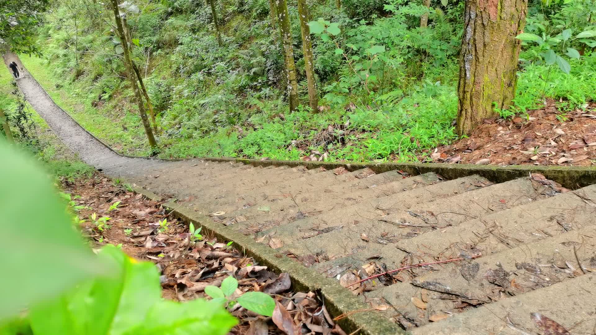 山顶阶梯石阶路视频的预览图