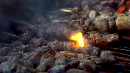 红柳枝烤肉串烤肉视频的预览图