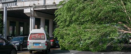 暴雨狂风之后树木连根拔起砸坏汽车阻碍交通视频的预览图
