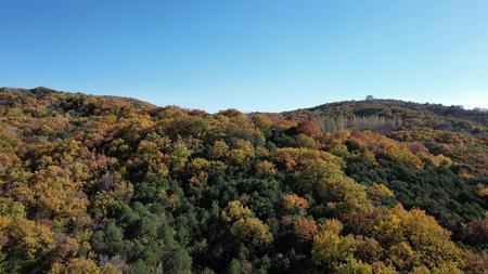 大山里秋天的颜色视频的预览图