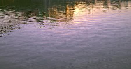 8K实拍金色水面湖面波光粼粼江面湖水视频的预览图
