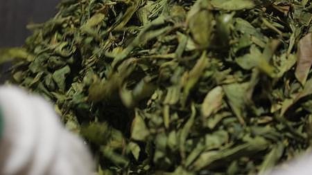 新鲜茶叶传统手工炒茶杀青视频的预览图