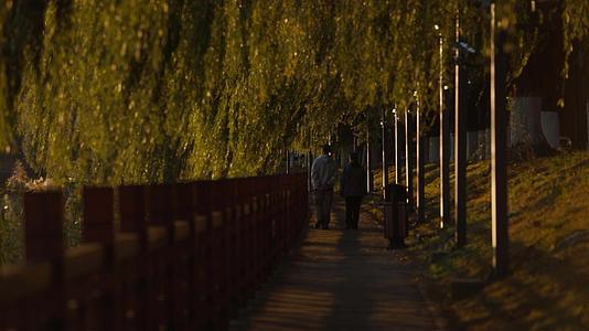城市风景唯美文艺空境夕阳树叶光影视频的预览图