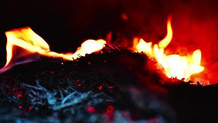 火焰柴火烈火燃烧篝火视频的预览图
