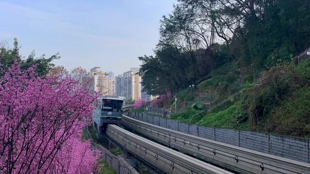 重庆轻轨开往春天的列车视频的预览图