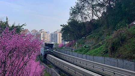 重庆轻轨开往春天的列车视频的预览图
