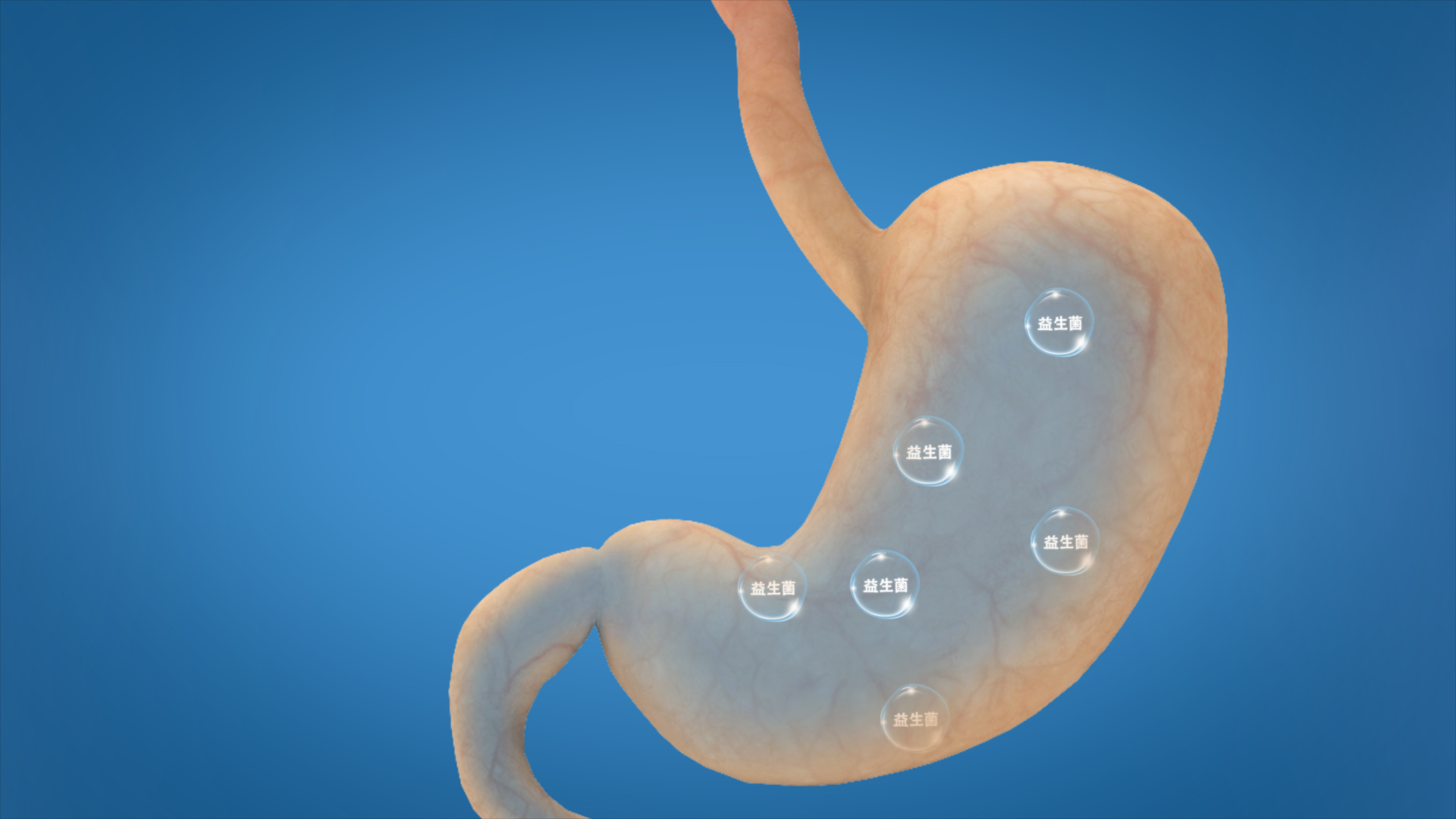 药物对胃的作用视频的预览图