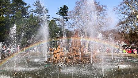 青岛中山公园的彩虹喷泉4K视频的预览图