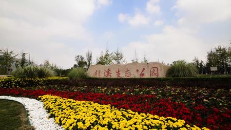 成都桂溪公园延时摄影视频的预览图