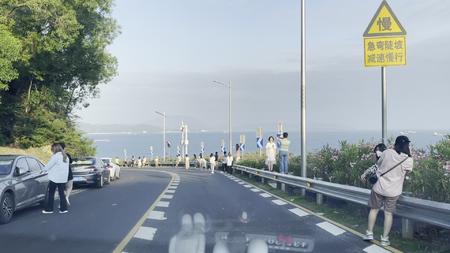 深圳深葵路沿海公路视频的预览图