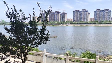 8K信阳平桥河畔风景视频的预览图