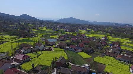 汉中汉山油菜花海中的美丽山村视频的预览图