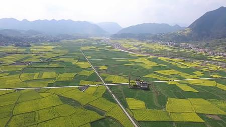 航拍汉中阜川千亩油菜花美丽山村视频的预览图