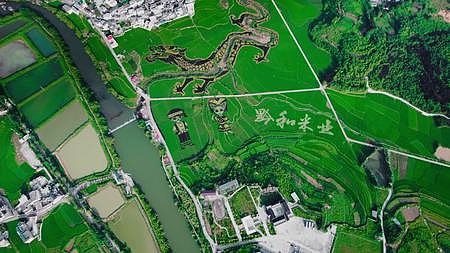 4k航拍贵州农业黔和米业视频的预览图