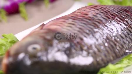 镜头合集草鱼河鲜鱼肉视频的预览图