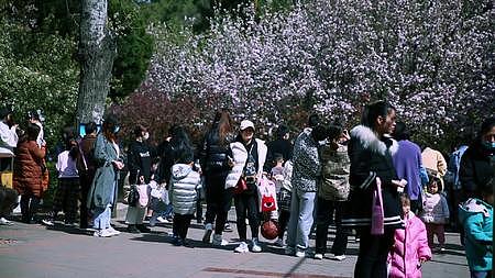 在春暖花开的季节游玩在公园里的人群和情侣们视频的预览图