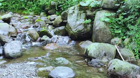 山间小溪流淌实拍视频的预览图