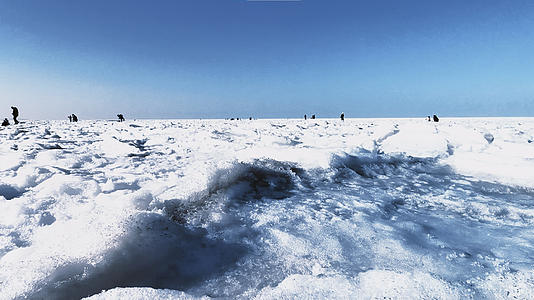 在冰雪世界上行走视频的预览图