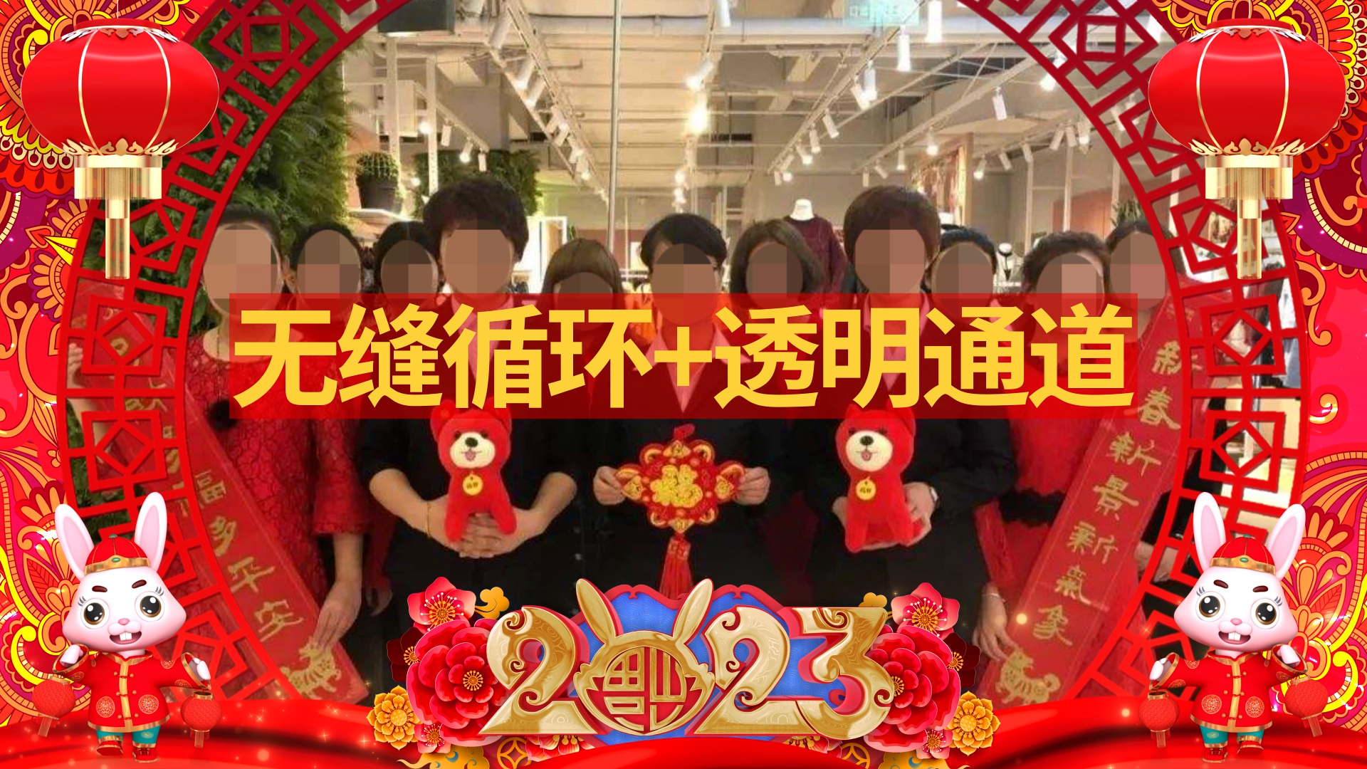 2023兔年春节喜庆拜年祝福边框AE模板视频的预览图