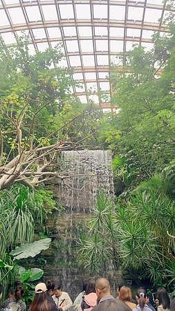 太原市植物园自然之奇观绿意盎然的乐园视频的预览图