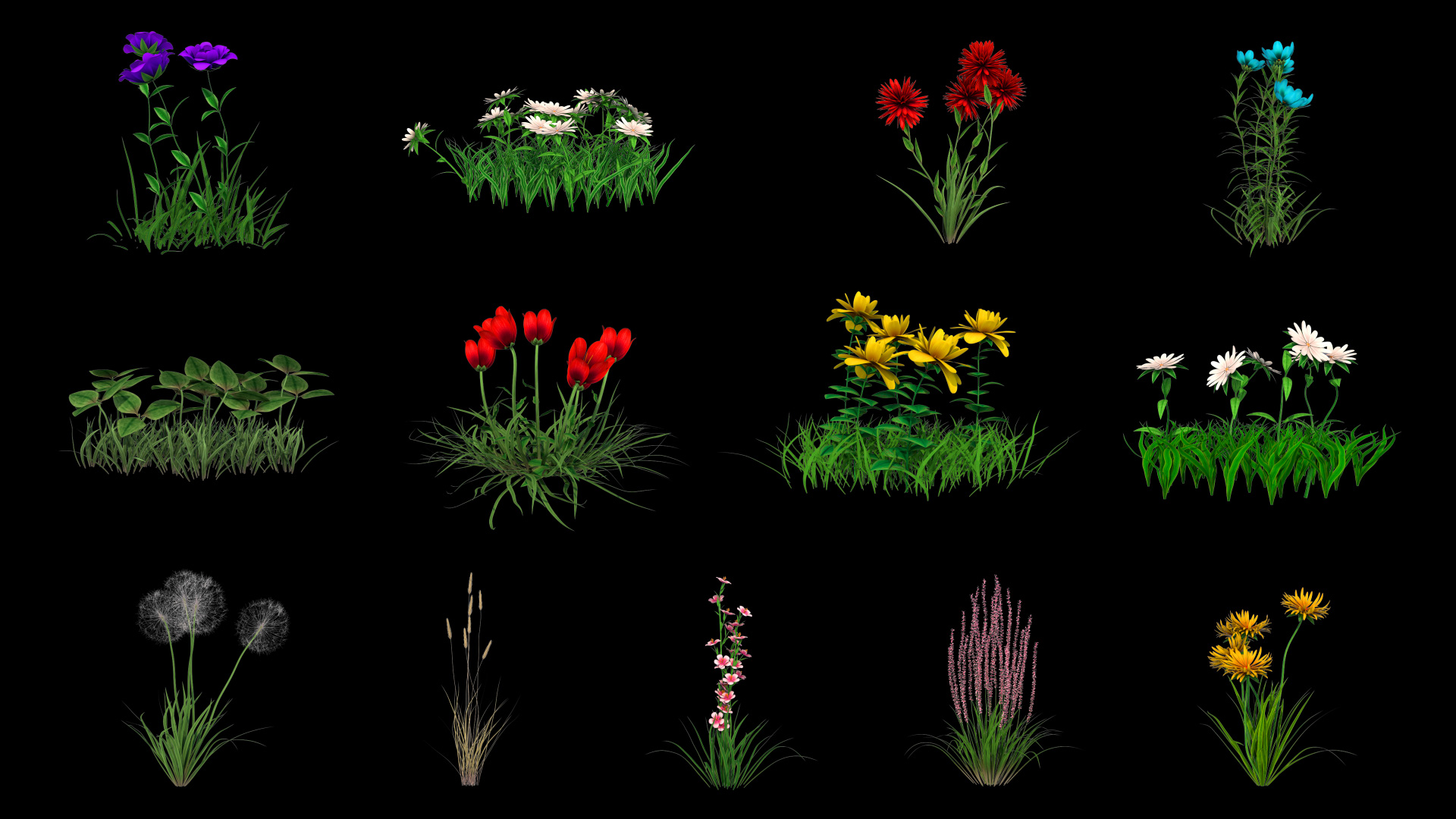 16款花草生长C4D动画合集视频的预览图