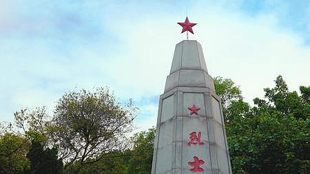 清明节顺德烈士纪念碑扫墓视频的预览图