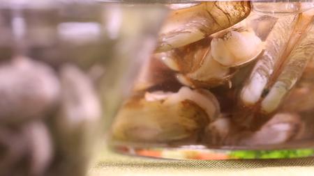 蛤蜊花甲文蛤蚬子小海鲜视频的预览图