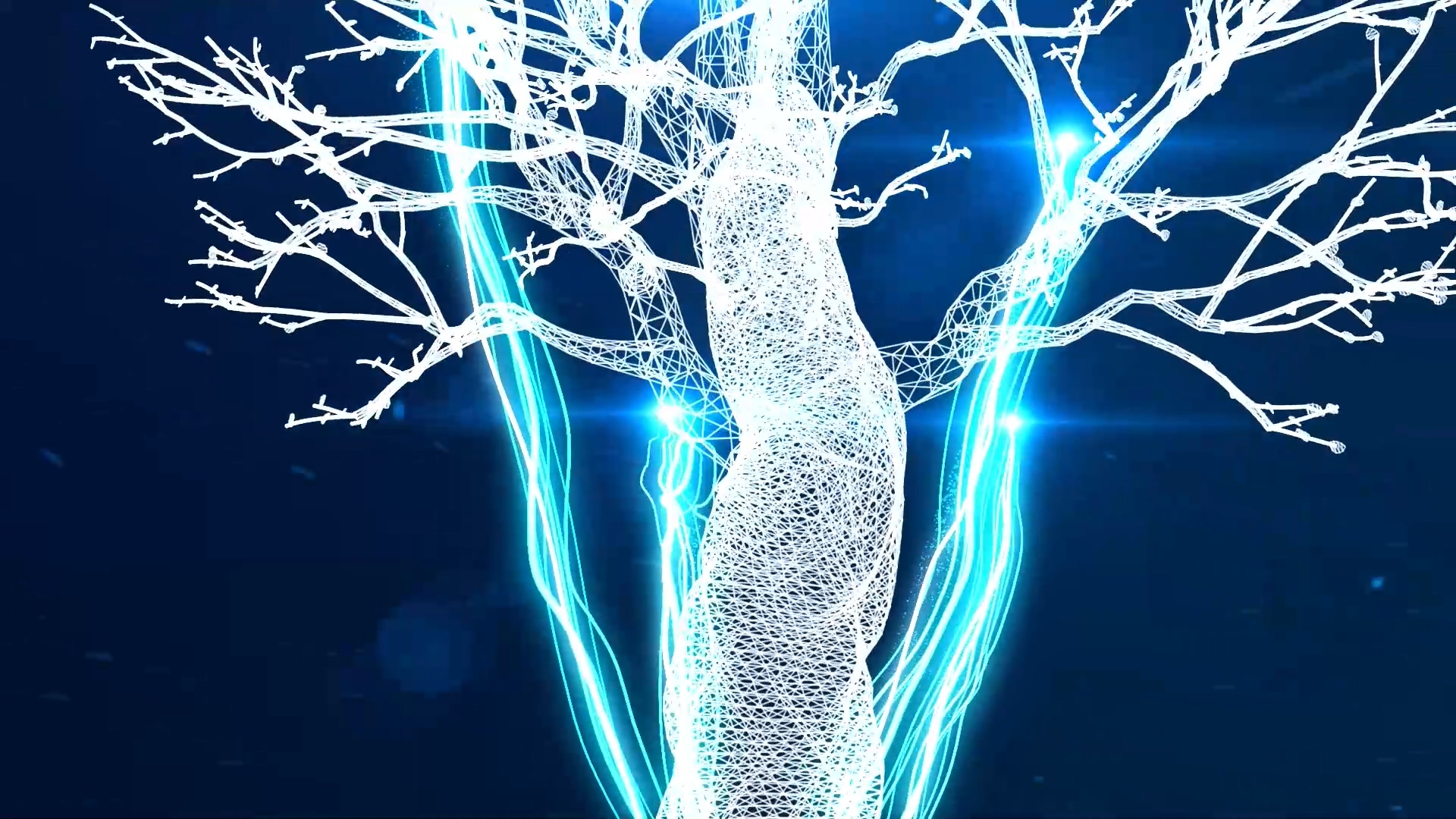 光线缠绕生长的粒子树视频的预览图