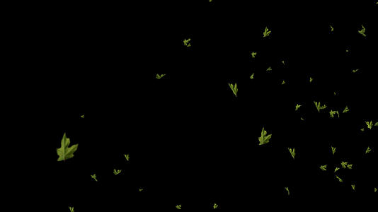 枫叶飞舞飘散带通道视频的预览图