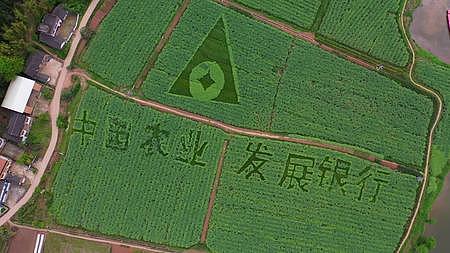 中国农业发展银行乡村振兴图案绿色金融视频的预览图