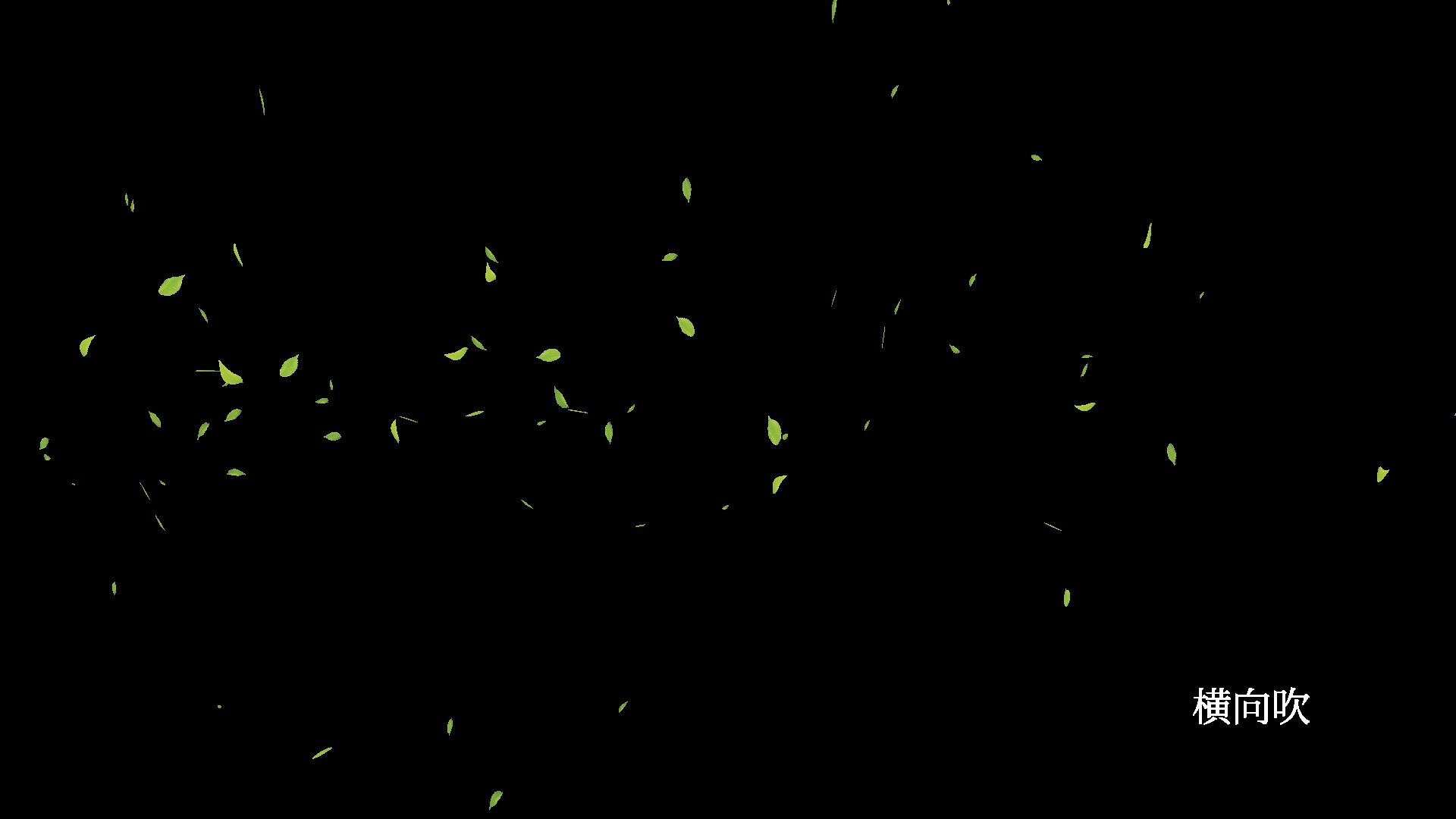 绿叶飘落文件夹视频的预览图