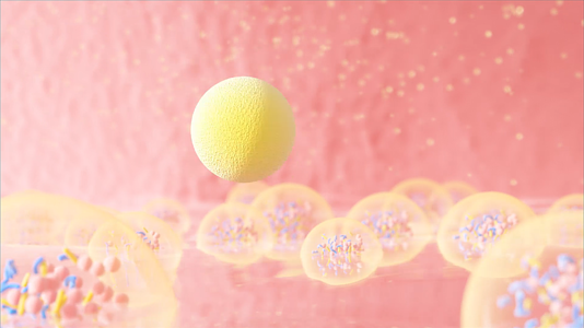 c4d肠道益生菌消化分解三维动画横屏AE工程视频的预览图