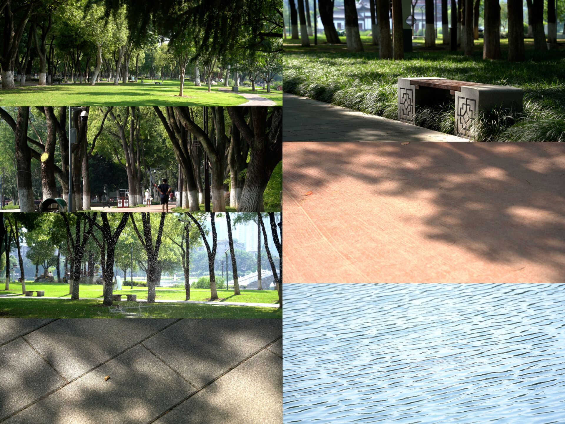 夏天阳光下公园空镜合集视频的预览图
