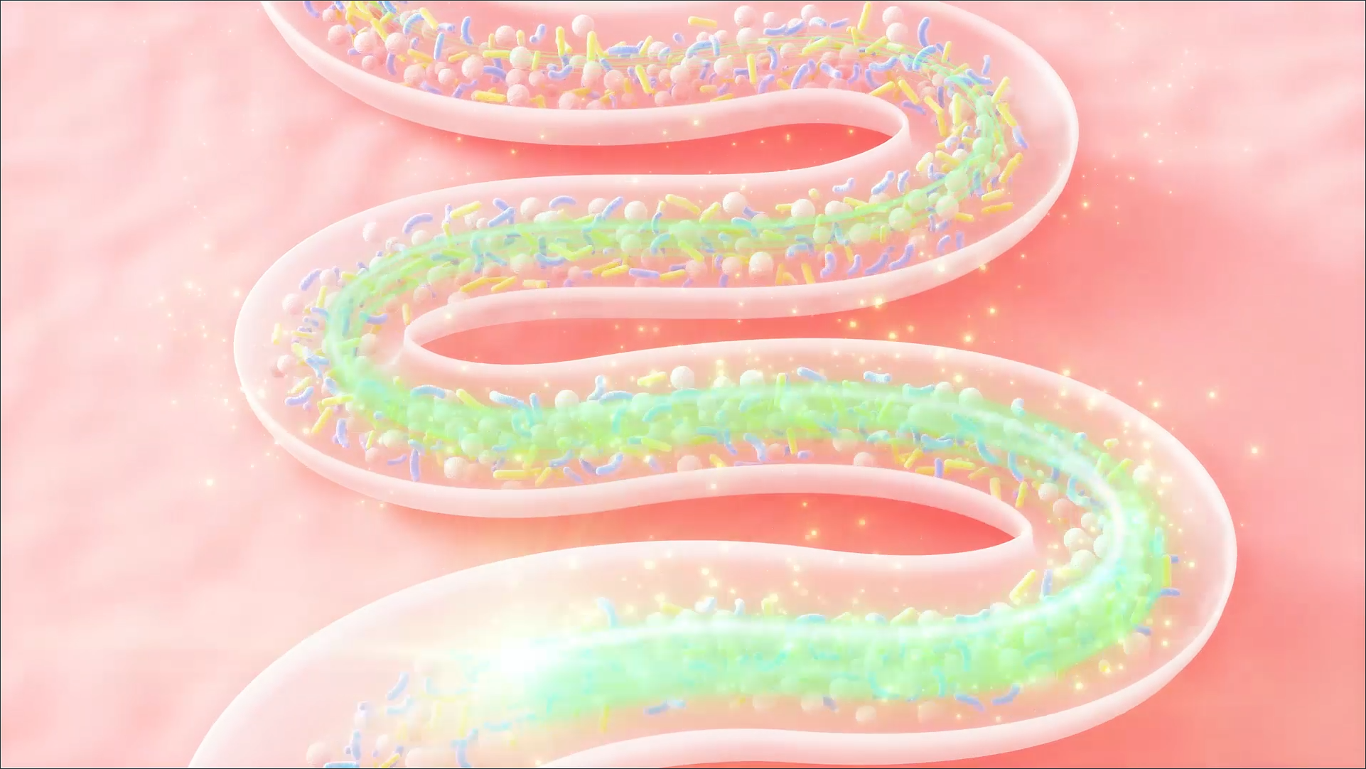 c4d肠道地衣芽孢益生菌消化分解三维动画横屏视频的预览图