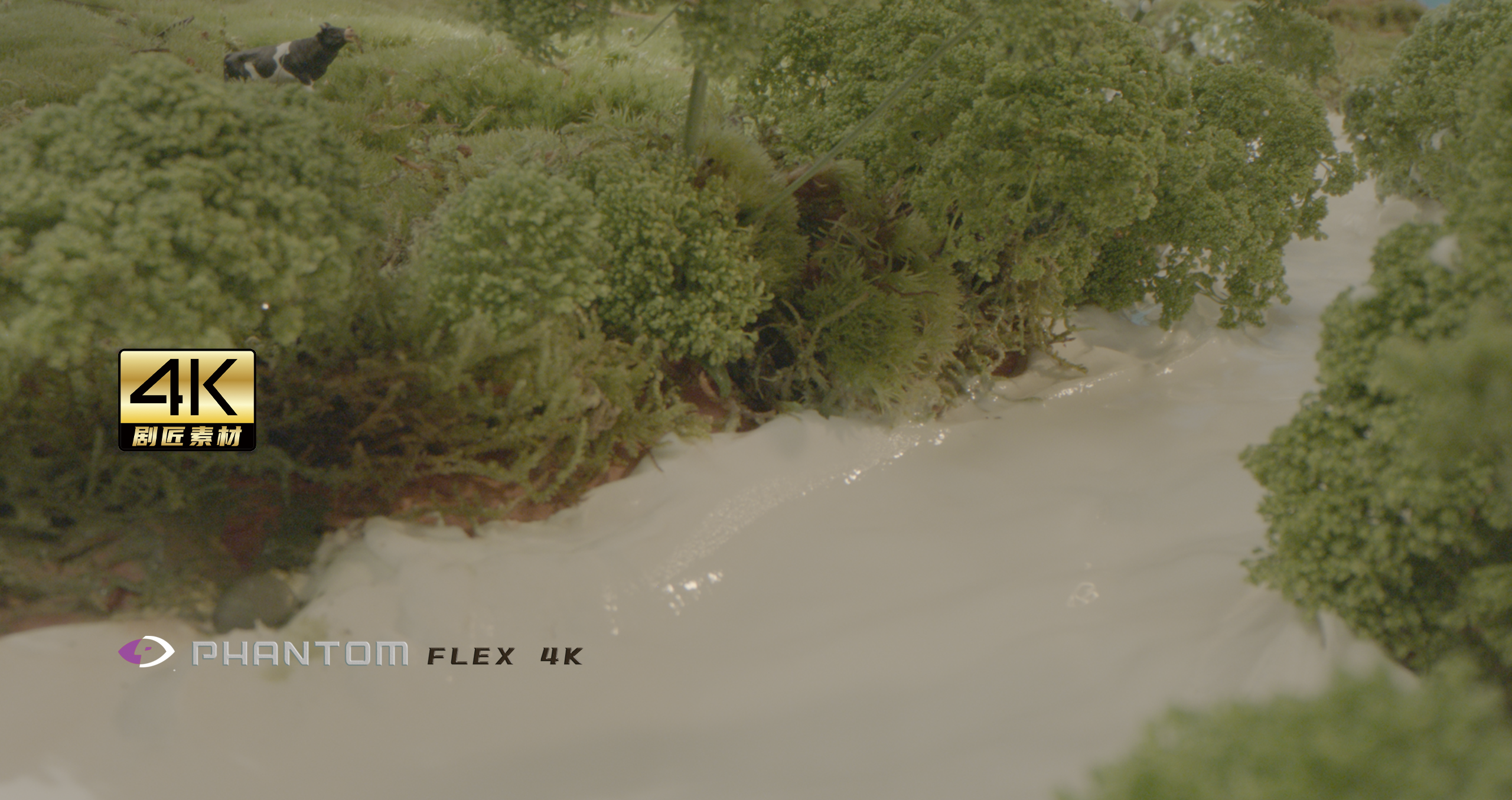 芬腾高速机1000fps之牧场微缩景观视频的预览图