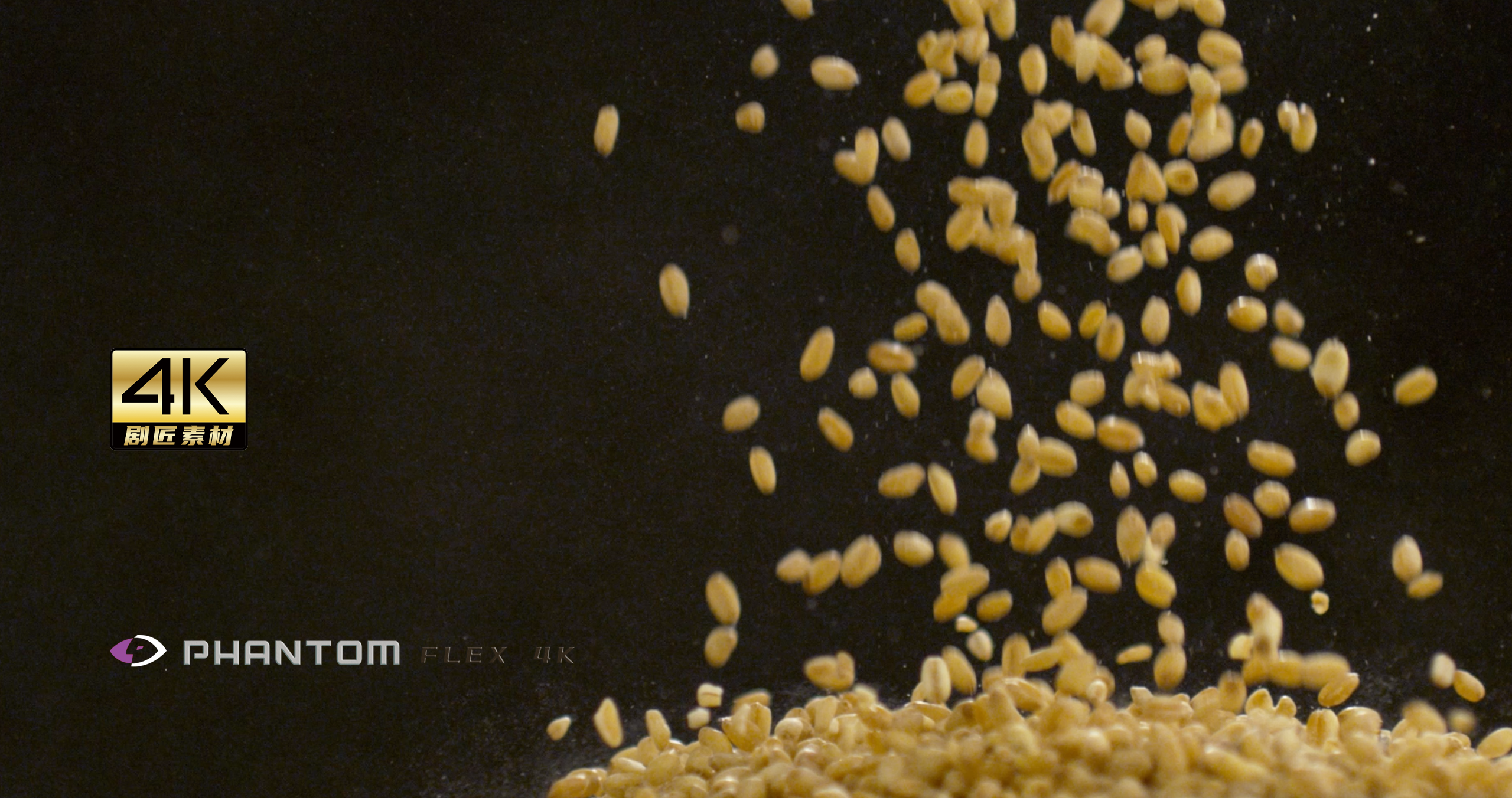 芬腾高速机fps之小麦视频的预览图