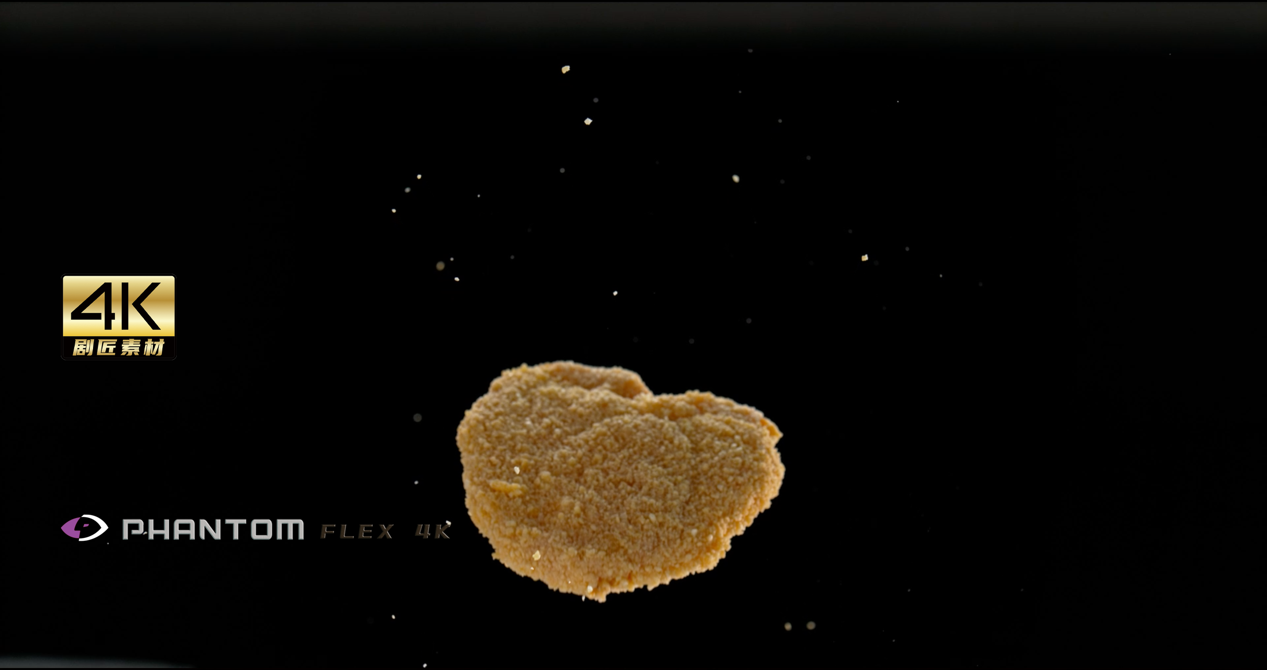 芬腾高速机1000fps之鸡排视频的预览图