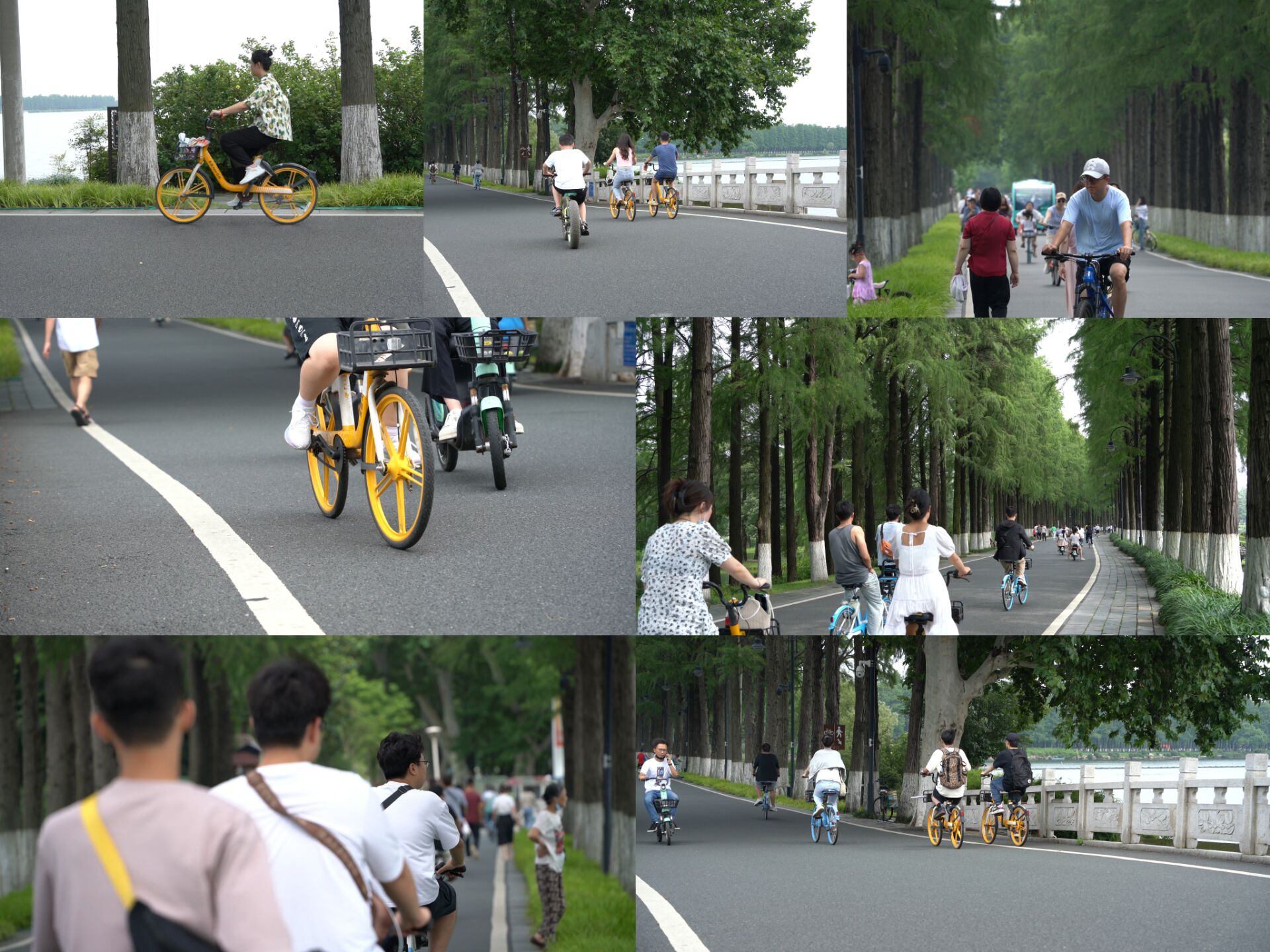 武汉东湖公园绿道骑车的人群视频的预览图