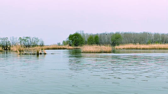 山东济宁微山湖景色之一视频的预览图