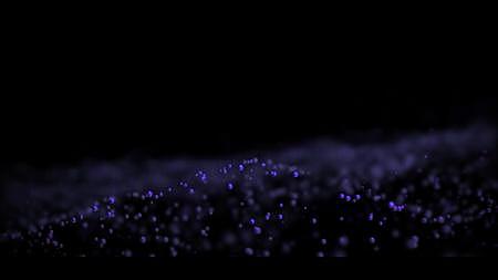 紫色花海视频的预览图