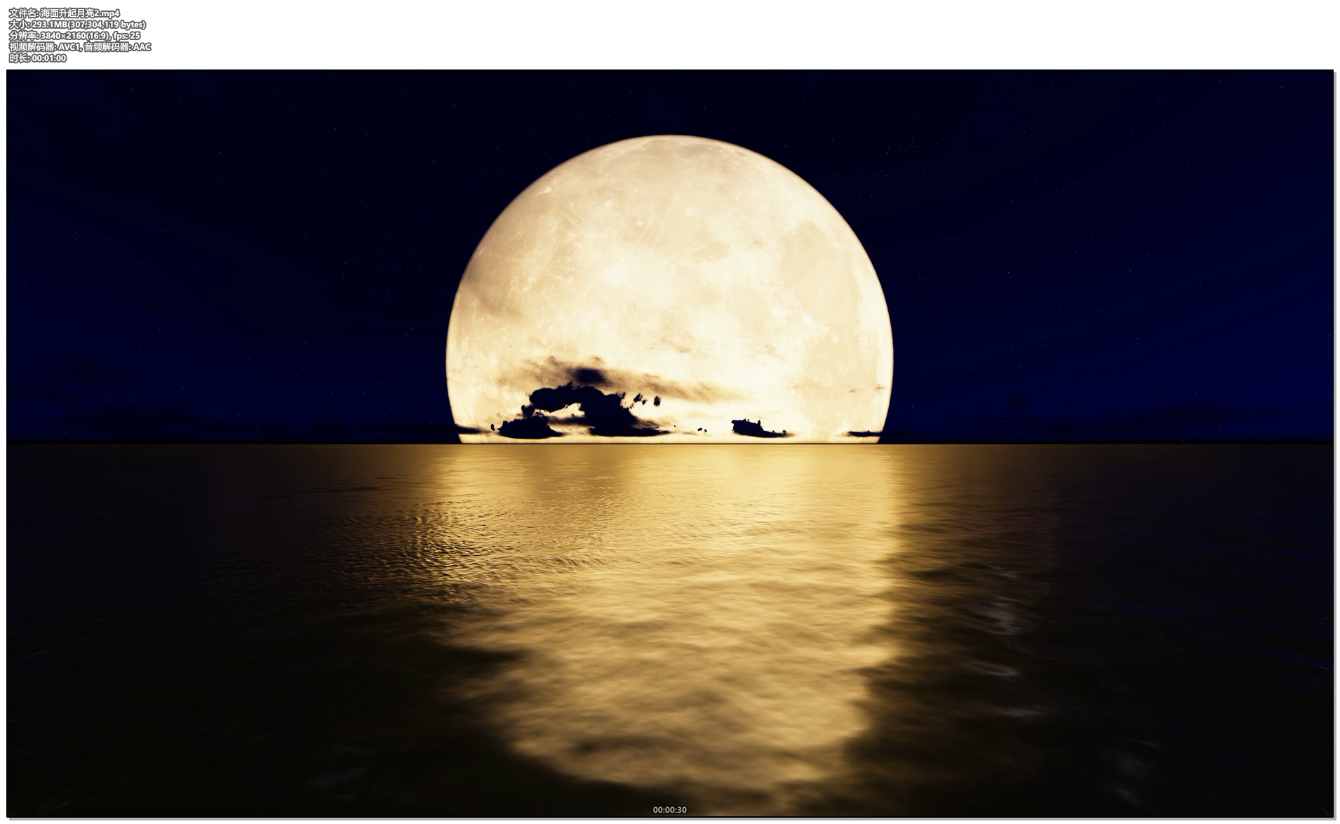 海面升起月亮2视频的预览图