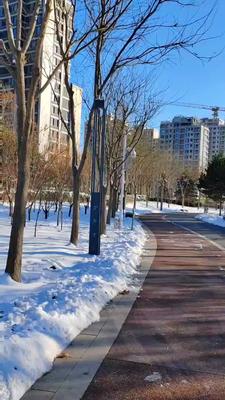 城市雪后公园高清视频视频的预览图
