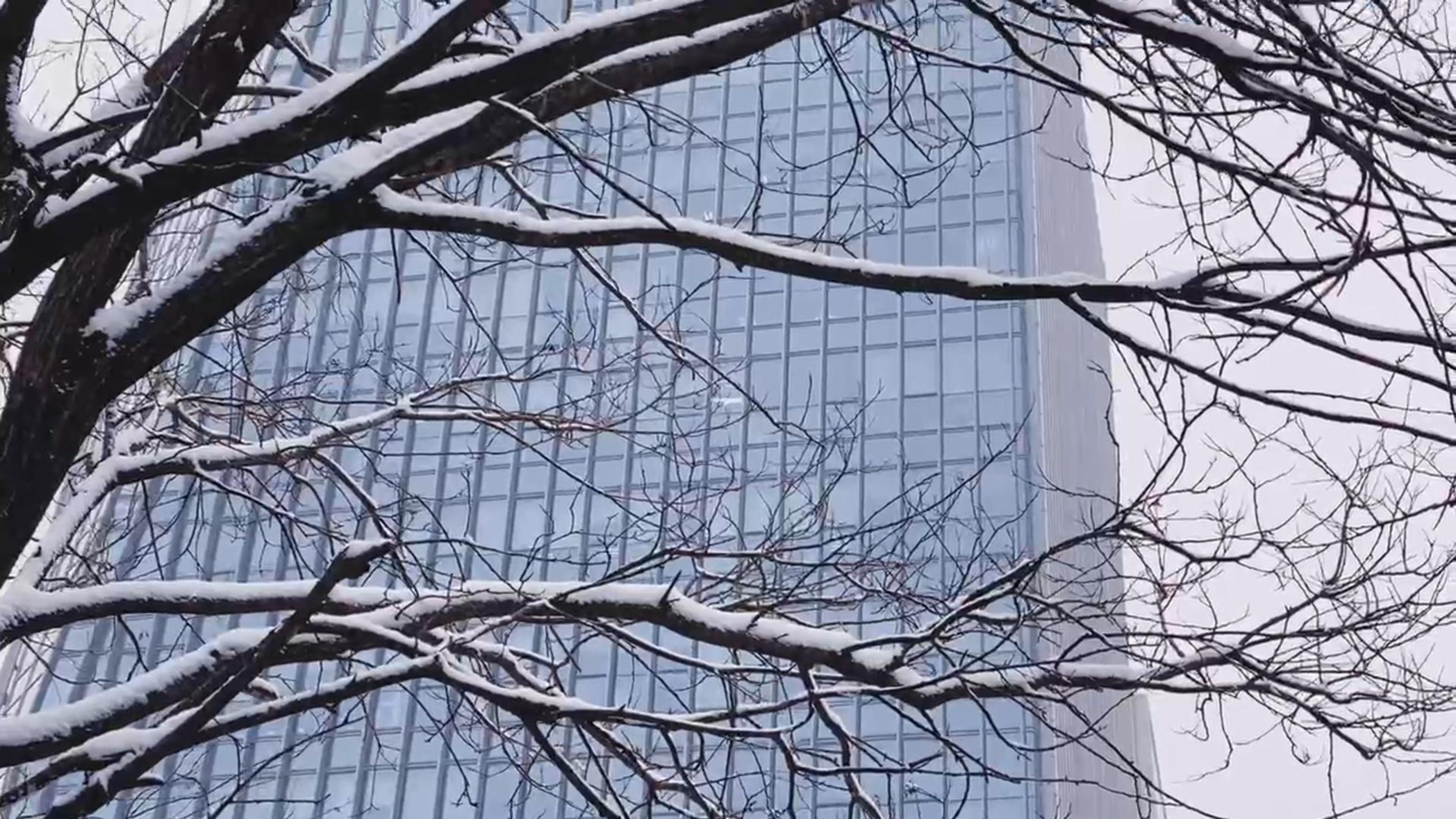北方城市雪天街道风景高清视频视频的预览图