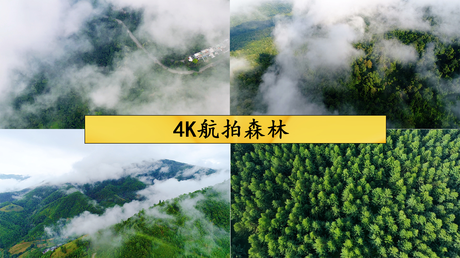 4K航拍森林视频的预览图